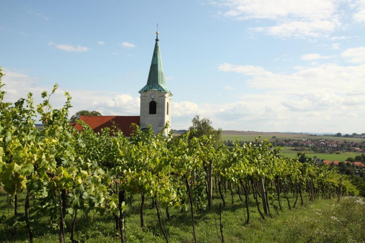 Ubytování ve Vinařství Medek | Medek House&Winery Uherské Hradiště Exteriér fotografie