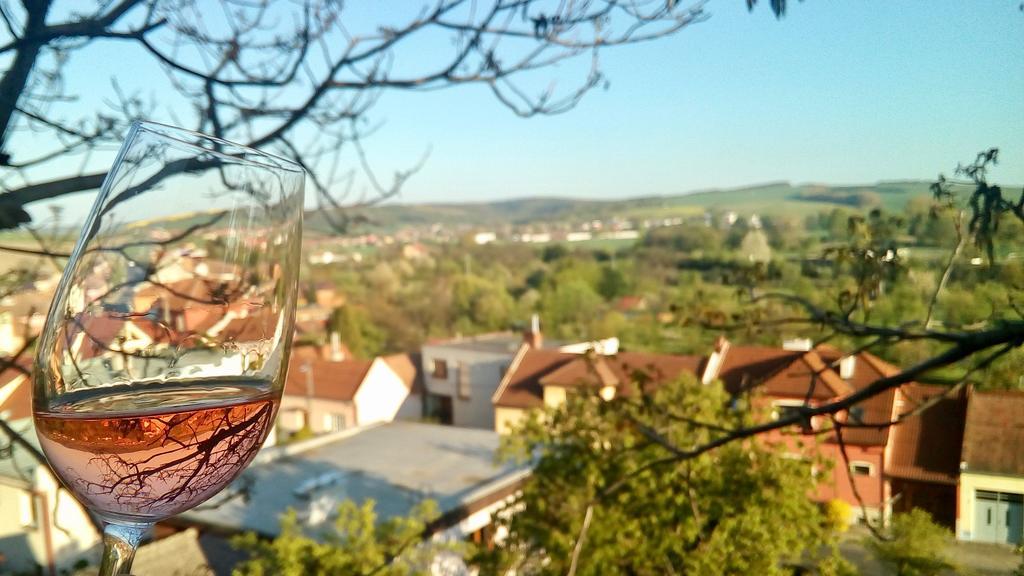 Ubytování ve Vinařství Medek | Medek House&Winery Uherské Hradiště Exteriér fotografie
