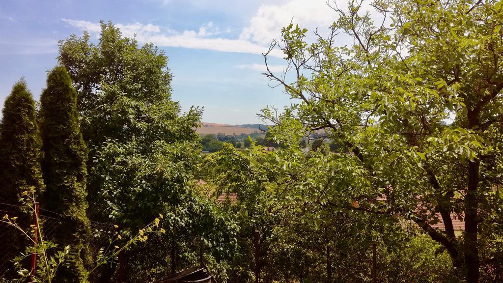 Ubytování ve Vinařství Medek | Medek House&Winery Uherské Hradiště Exteriér fotografie