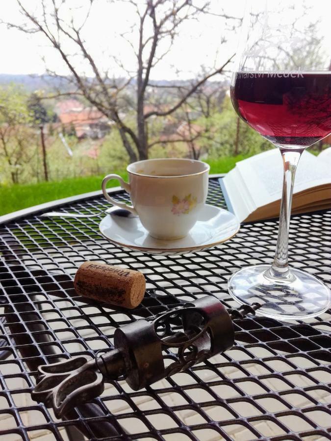 Ubytování ve Vinařství Medek | Medek House&Winery Uherské Hradiště Exteriér fotografie